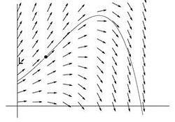 Decorative: the vector field of some equation